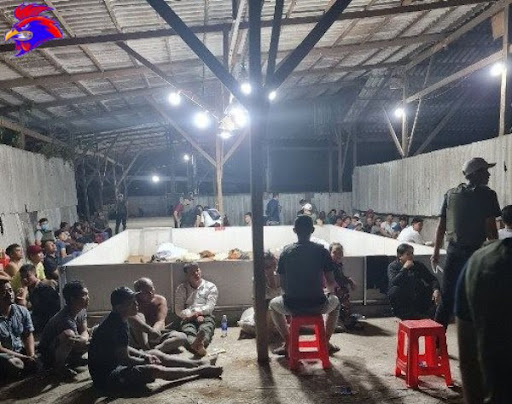 Đang trong quá trình điều tra và làm rõ sự việc.