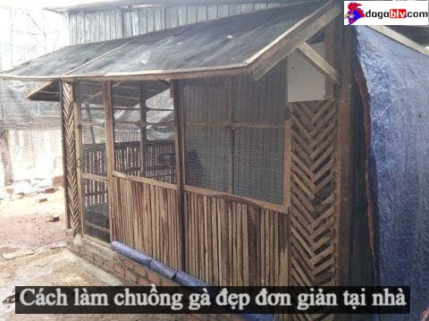 Cách làm chuồng gà đẹp mà đơn giản