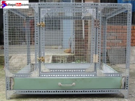 Chuồng gà đẹp bằng sắt