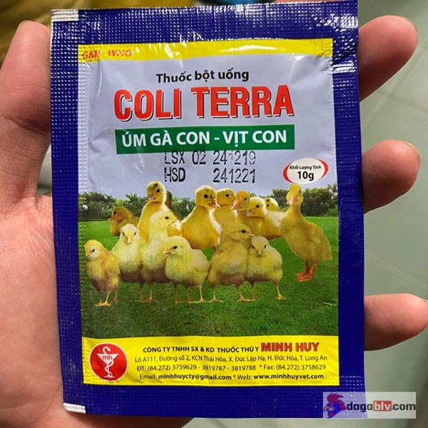 Tetra-Colivet - thuốc cho gà mới nở
