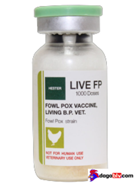 Vacxin đậu gà Living BP