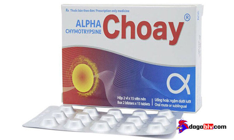 Alpha Choay