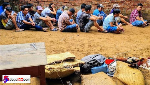 đá gà ăn tiền cần thơ