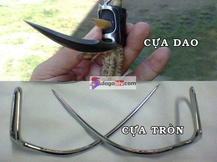các loại cựa sắt: Cựa dao và cựa tròn phổ biến