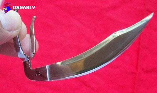 Cựa dao sử dụng trong gà chọi cựa dao