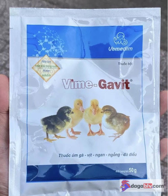 Úm gà con mới nở bằng Vime Gavit 