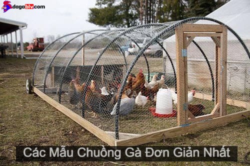 Các Mẫu Chuồng Gà Đơn Giản