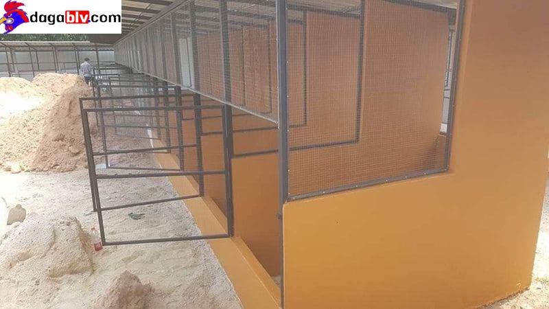 Chuồng gà bằng lưới B40