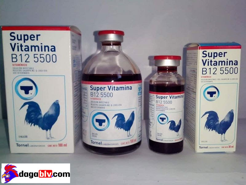 Super vitamina b12 5500 dành cho gà đá bộ lớn