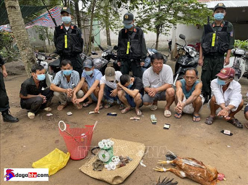đá gà tỉnh tiền giang