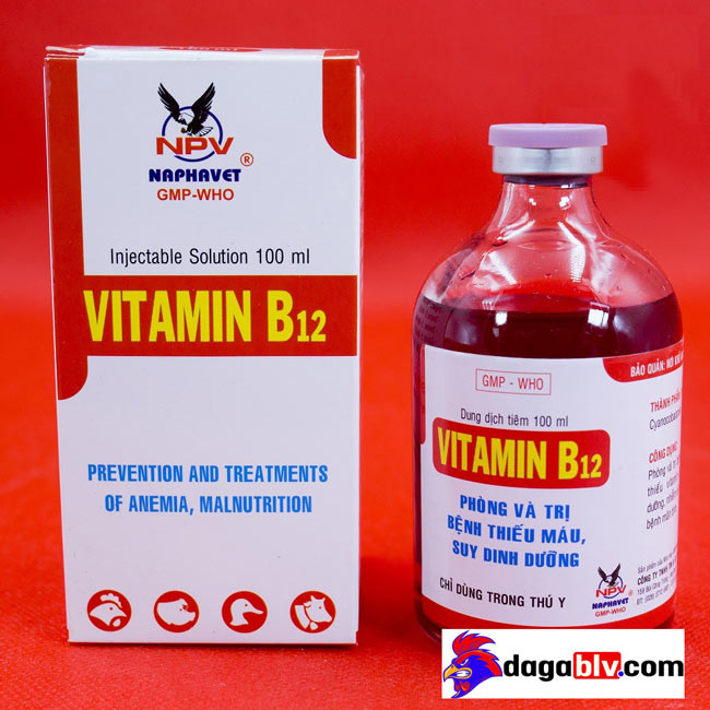 Vitamin b12 cho gà