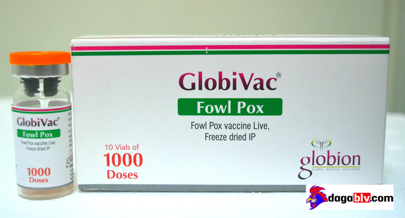 Globivac Fowl Pox 